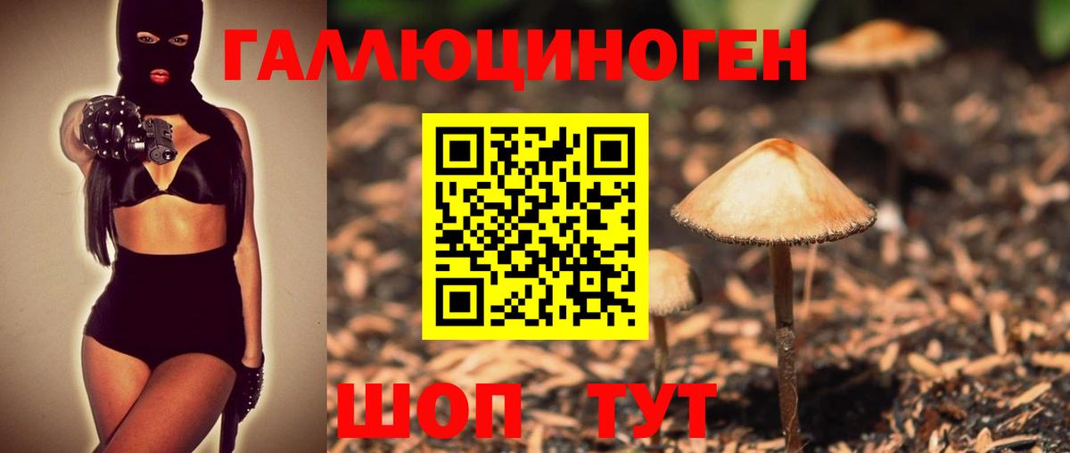 Галлюциногенные грибы GOLDEN TEACHER  Псилоцибиновые грибы Cubensis  где можно купить   Белореченск  Вход с VPN 
